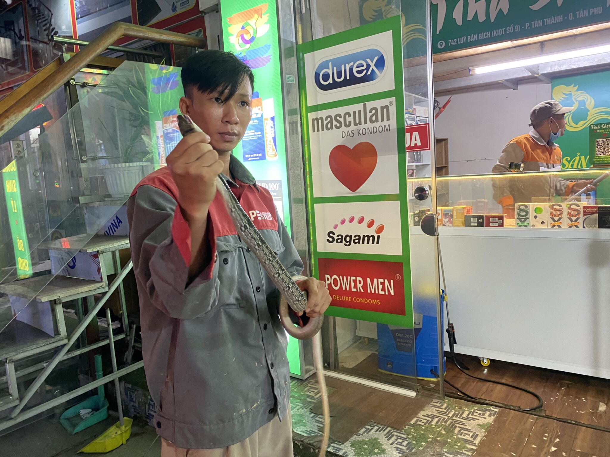 Dịch vụ bắt rắn tại nhà - Công Ty TNHH Thương Mại Dịch Vụ Kỹ Thuật Hoàng Trang Việt Nam